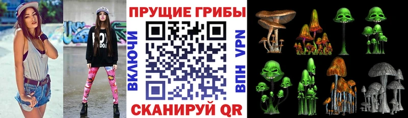 Купить закладки  Учалы  Псилоцибиновые грибы прущие грибы 